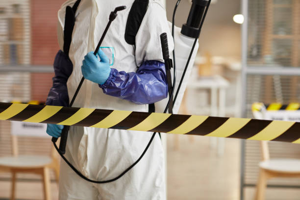 Professional Hoarding Cleanup technician working in Goshen, AR